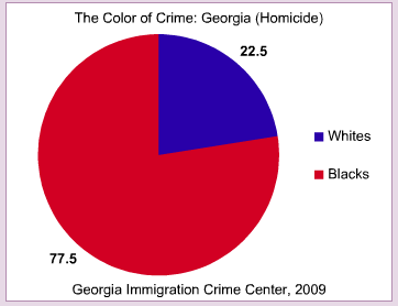 [Image: georgia-race-homicide-2009.bmp]